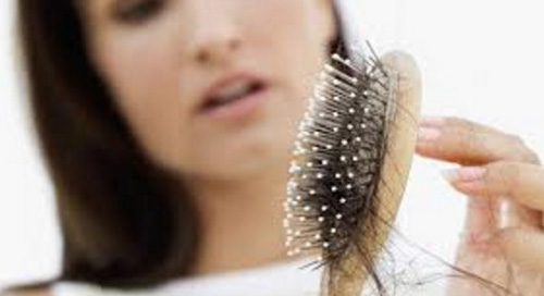Cara Penggunaan Minyak Zaitun Untuk Rambut yang rontok